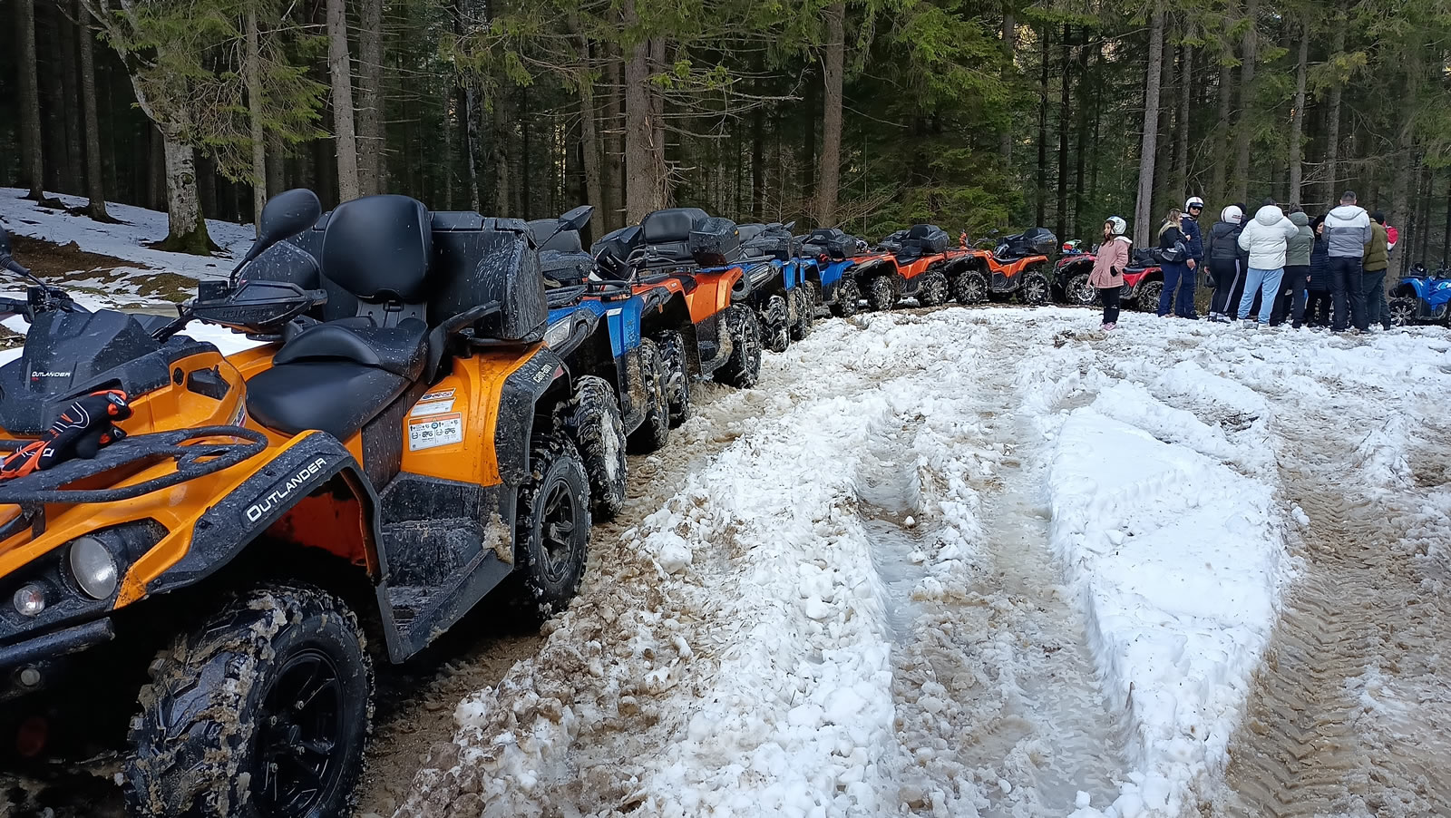Traseu ATV Cabana Susai - Natură sălbatică